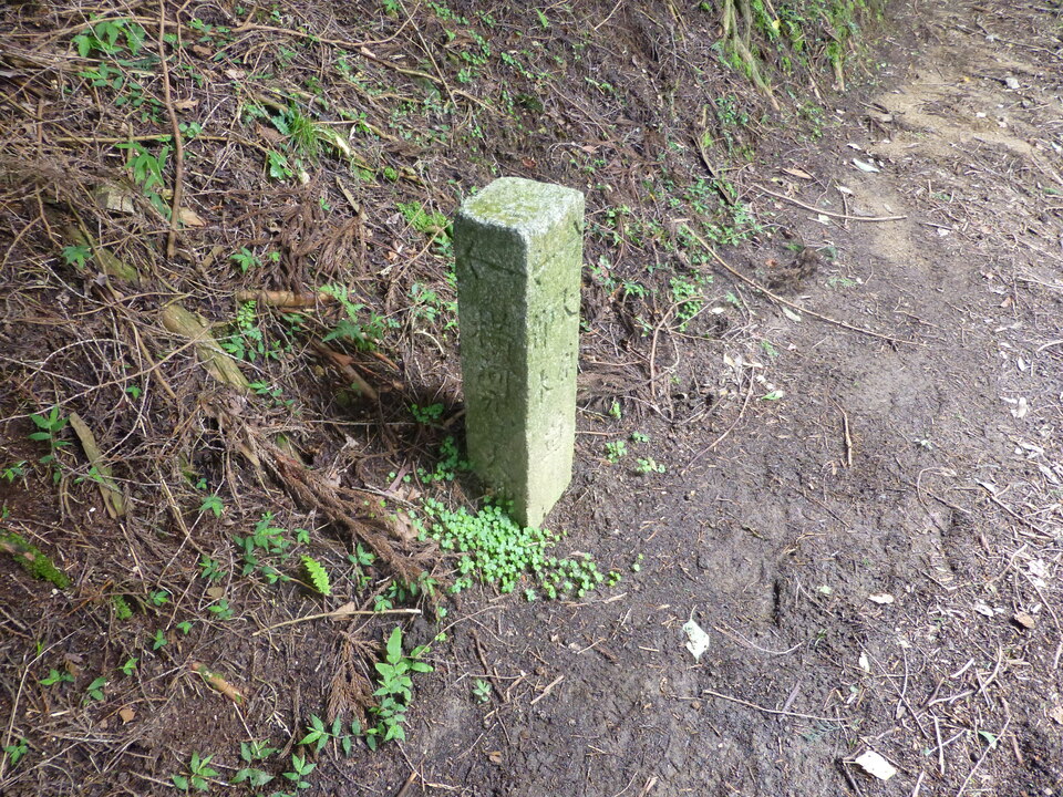 P1070467_mid.jpg