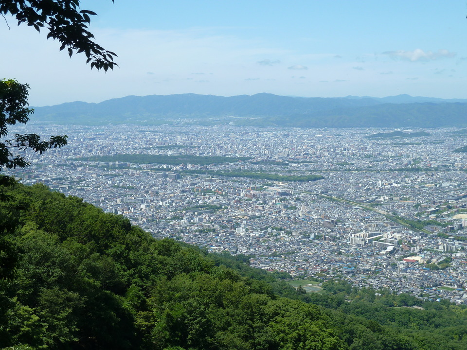 P1140411_mid.jpg