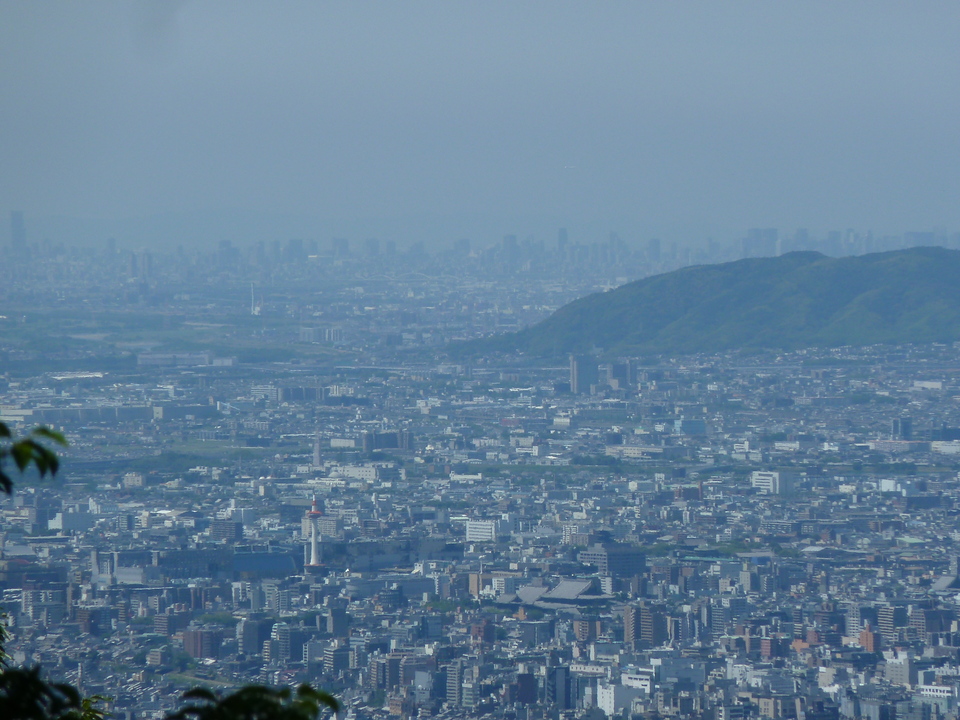 P1140414_mid.jpg