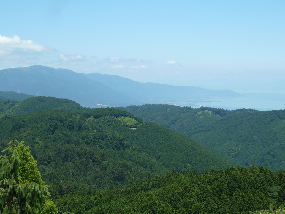 P1140457_mid.jpg