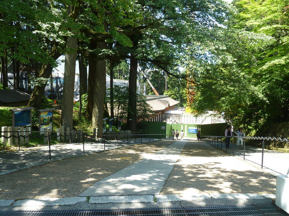 P1140471_mid.jpg