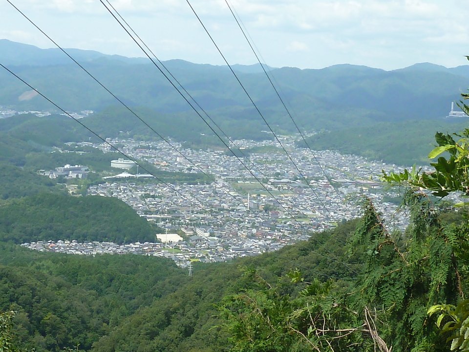 P1160665_mid.jpg
