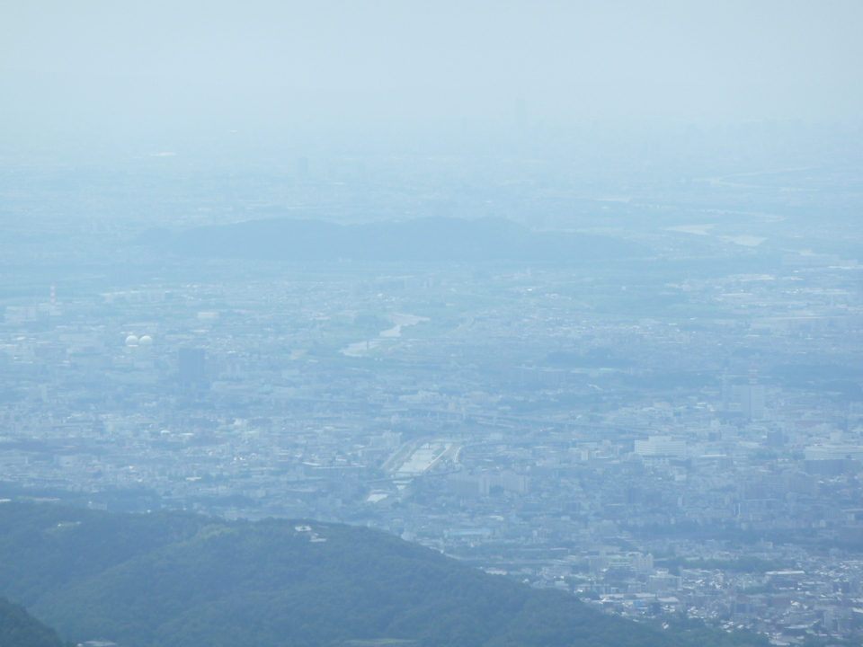P1160678_mid.jpg