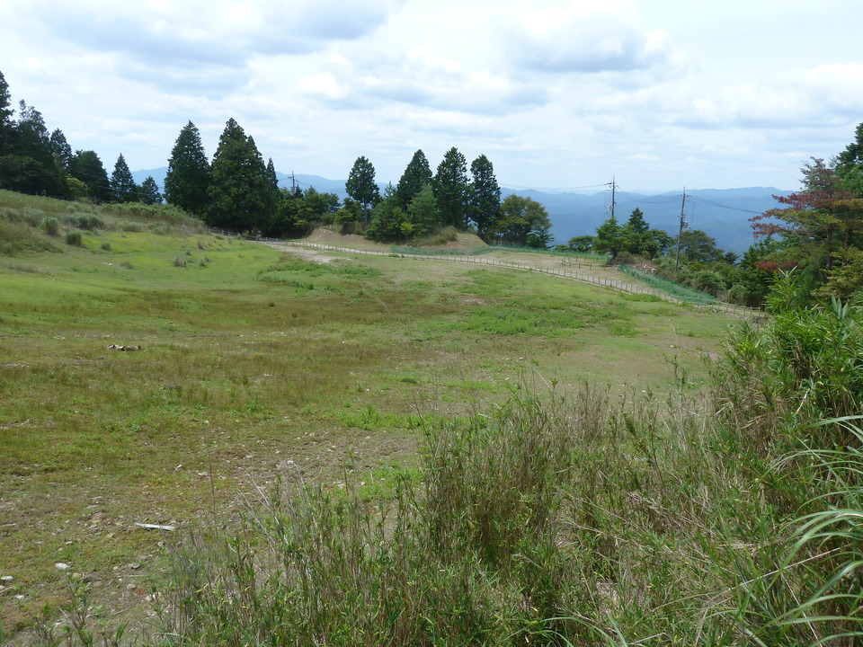 P1160691_mid.jpg