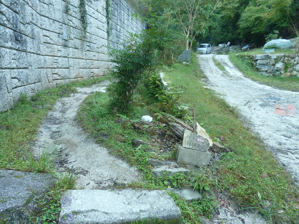 P1170606_mid.jpg