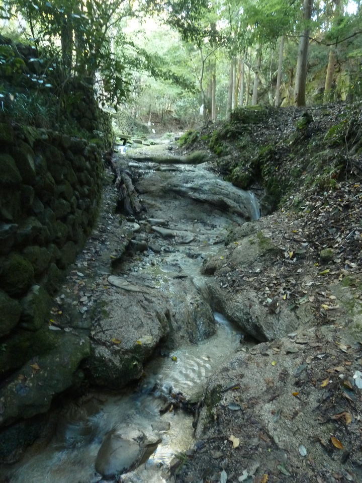 P1170611_mid.jpg