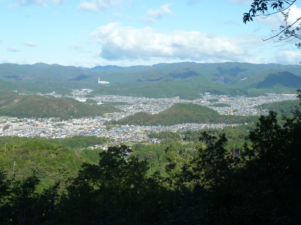 P1170659_mid.jpg