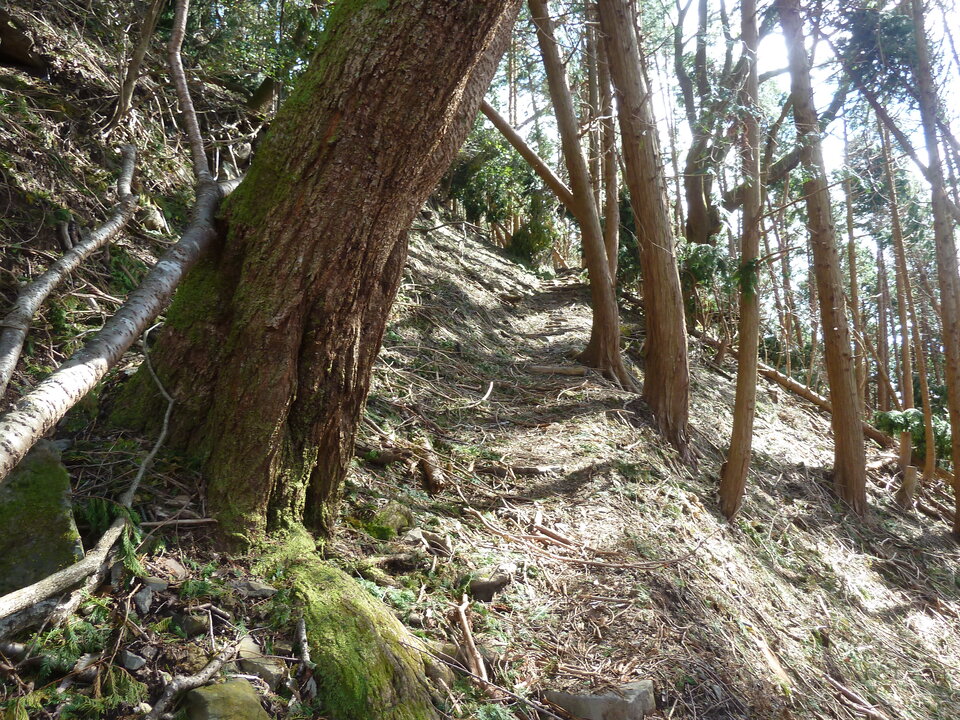 P1170720_mid.jpg