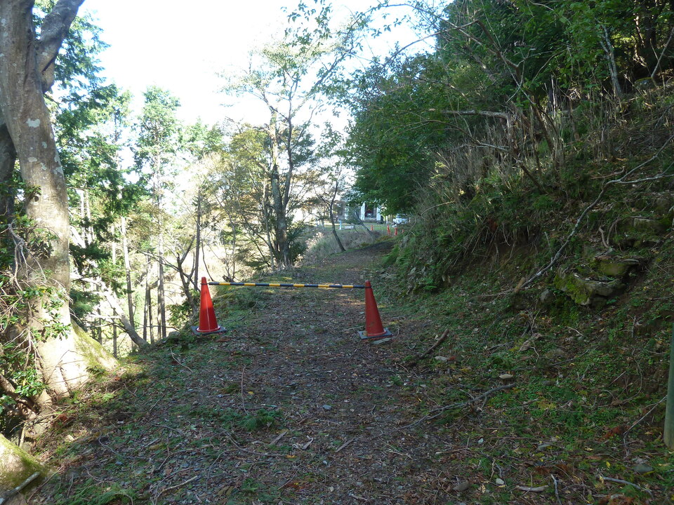 P1170728_mid.jpg