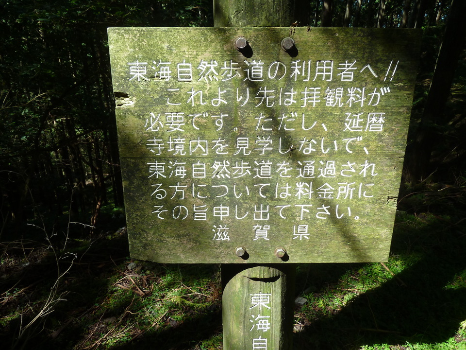 P1170758_mid.jpg