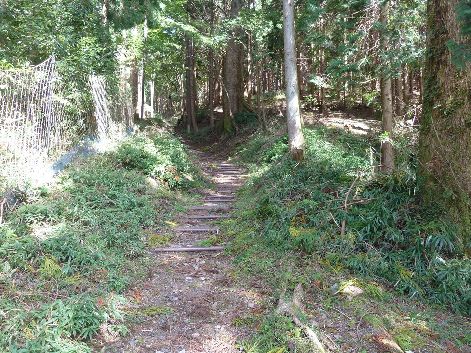 P1170778_mid.jpg