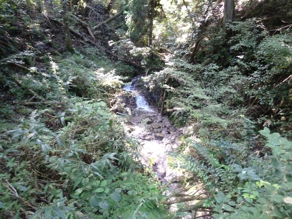 P1170838_mid.jpg