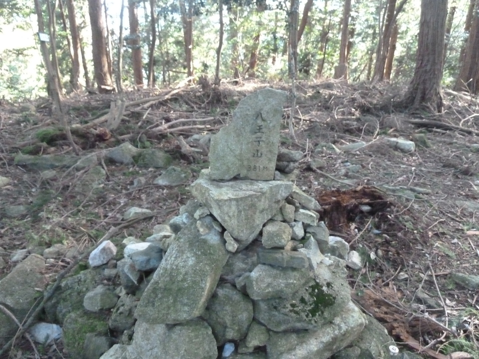 P1170918_mid.jpg
