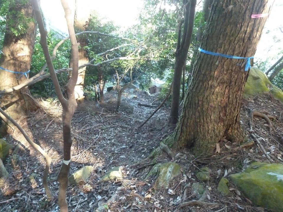 P1170921_mid.jpg