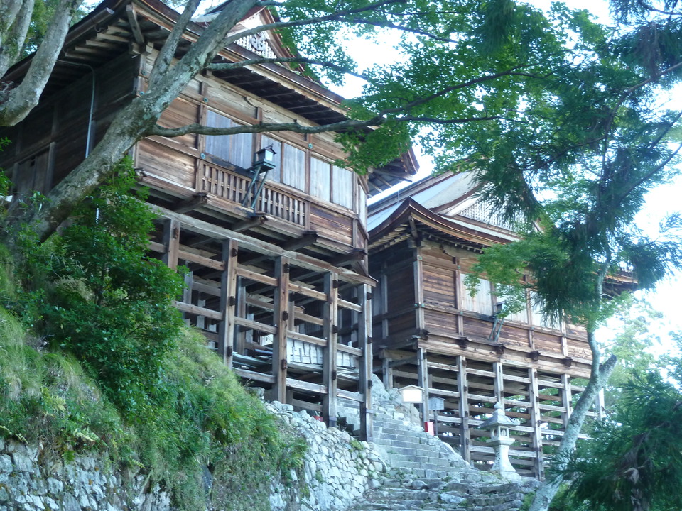 P1170935_mid.jpg