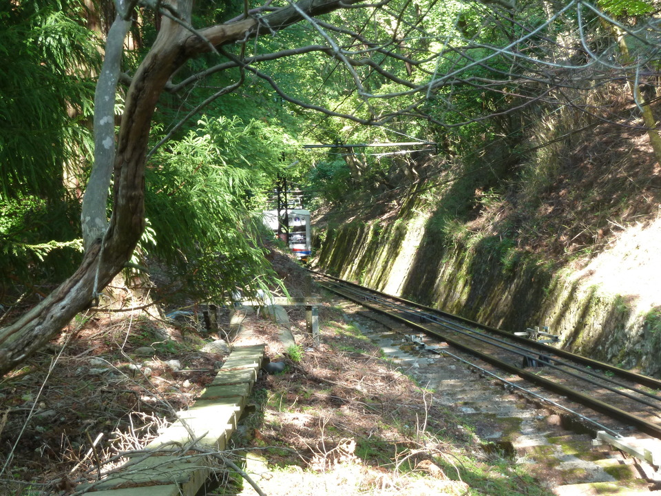 P1020897_mid.jpg