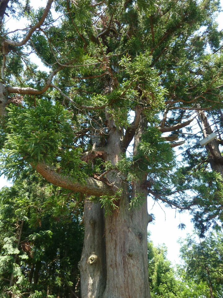 P1020971_mid.jpg