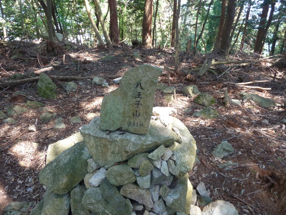 P1020993_mid.jpg