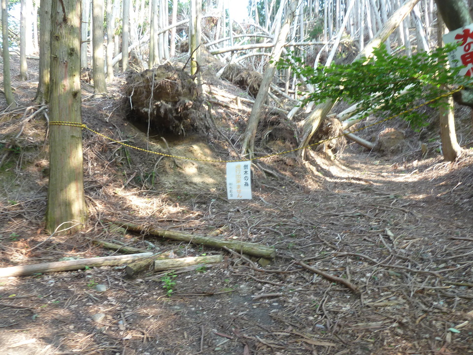 P1210719_mid.jpg