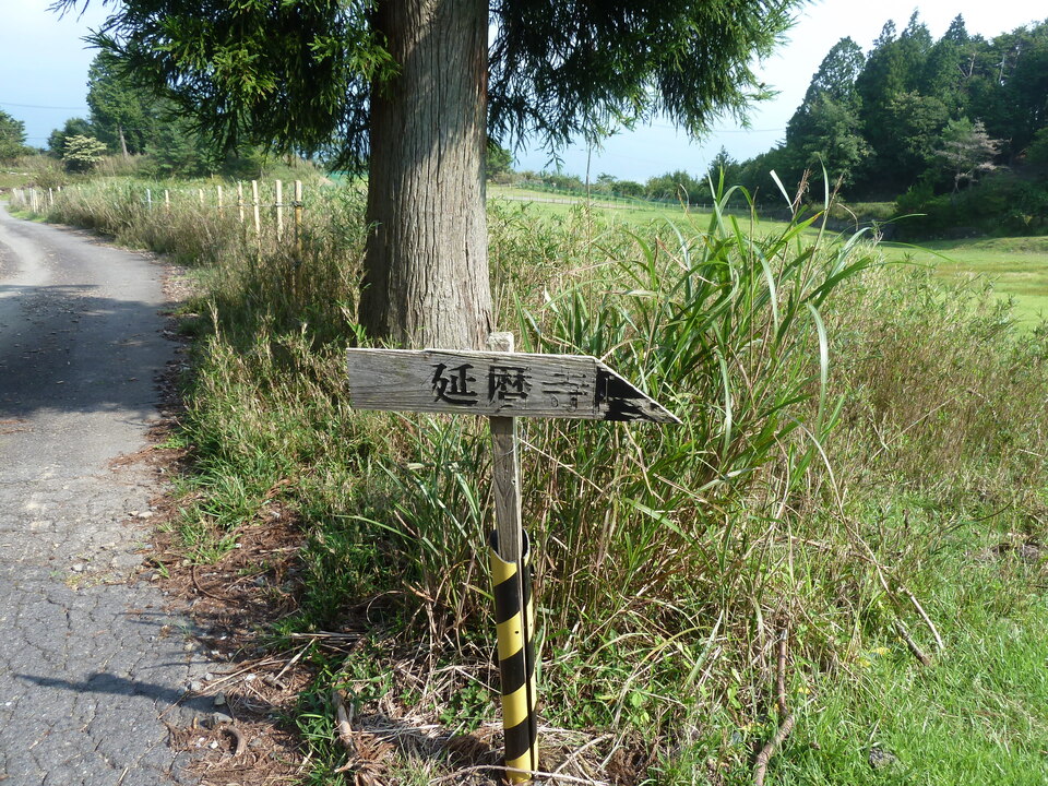 P1210730_mid.jpg