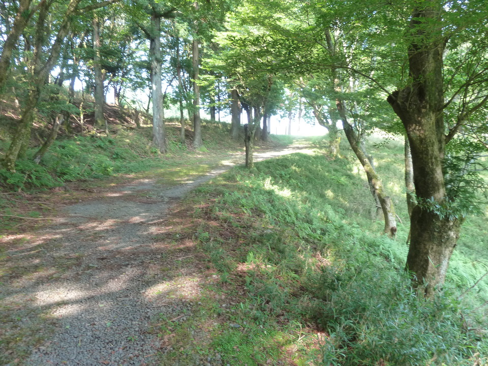 P1210736_mid.jpg