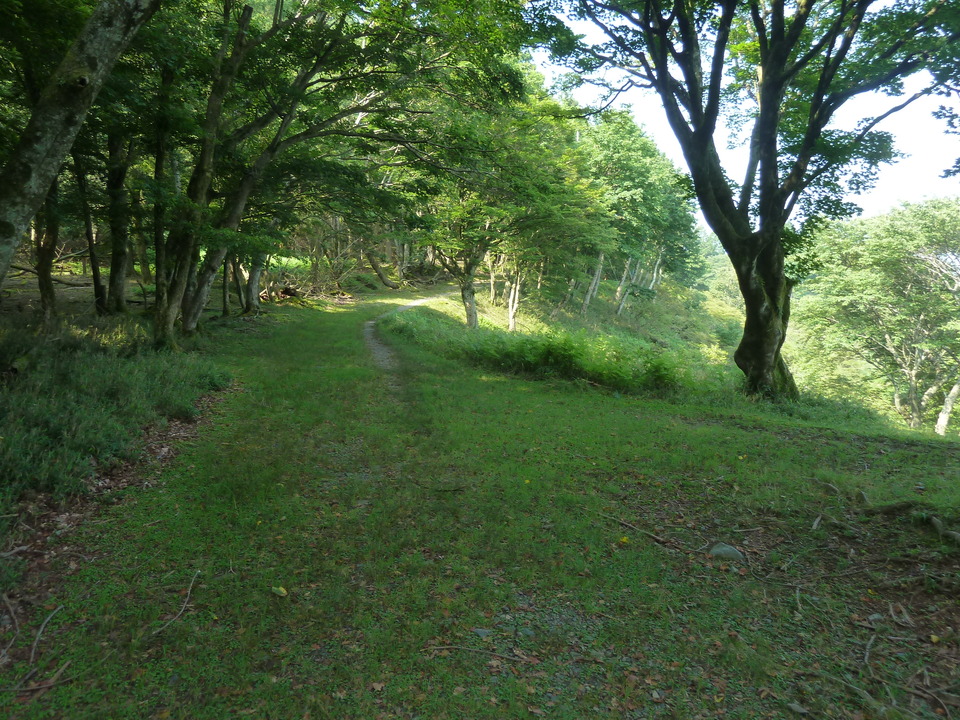 P1210738_mid.jpg