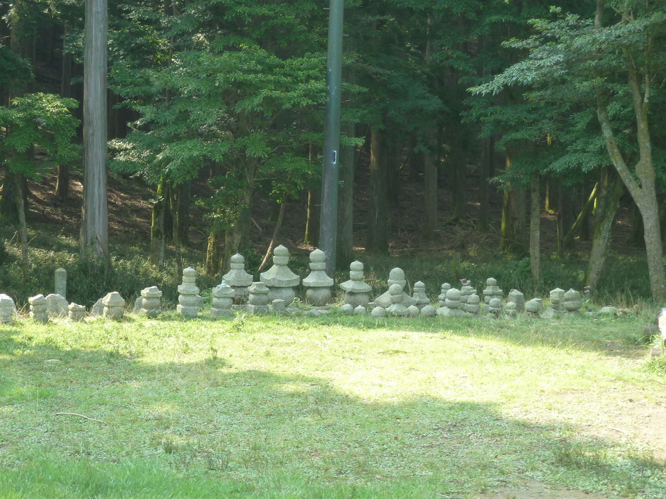 P1210743_mid.jpg