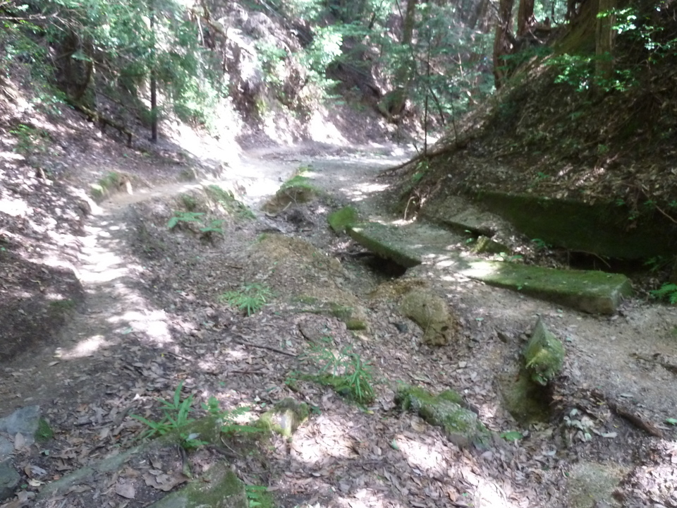 P1210787_mid.jpg