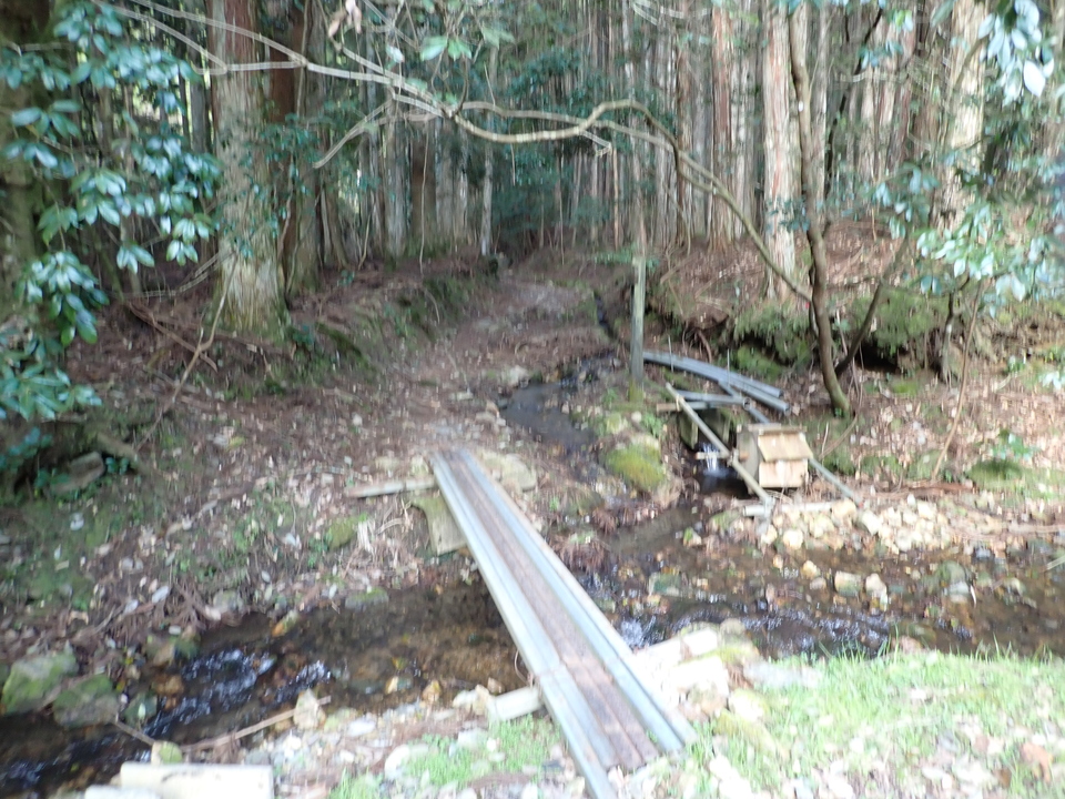 P4054223_mid.jpg