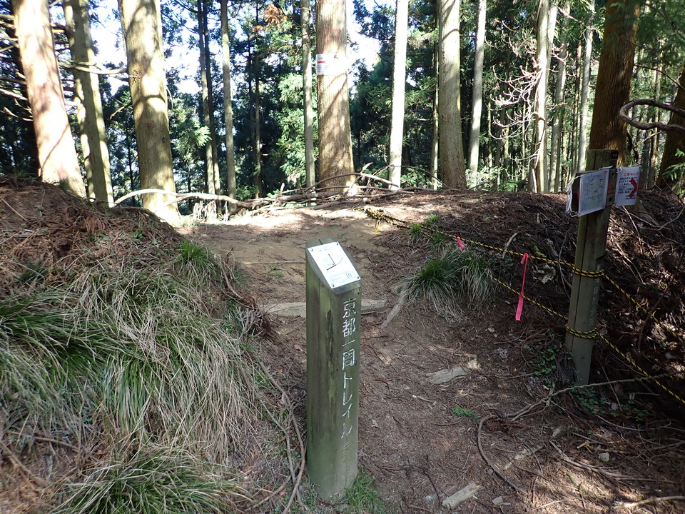 P4054285_mid.jpg