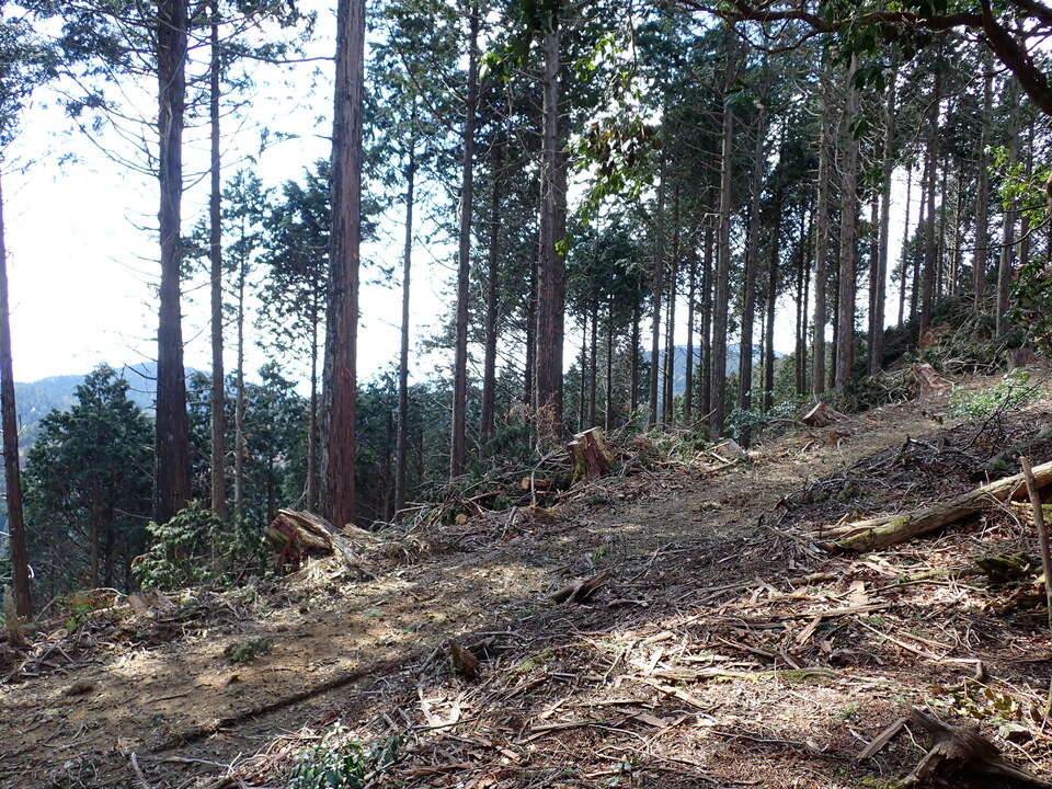 P4054298_mid.jpg