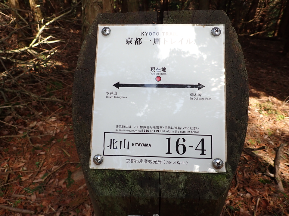 P4054301_mid.jpg