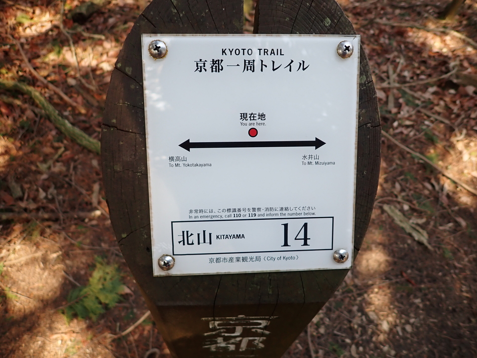 P4054318_mid.jpg
