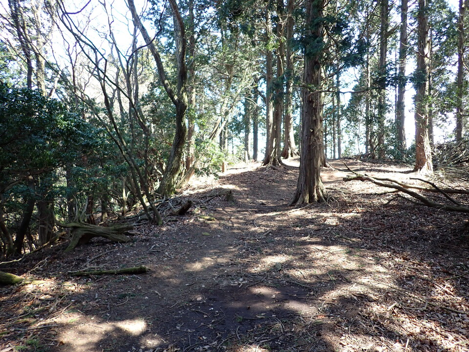 P4054320_mid.jpg
