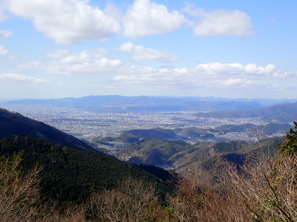 P4054336_mid.jpg