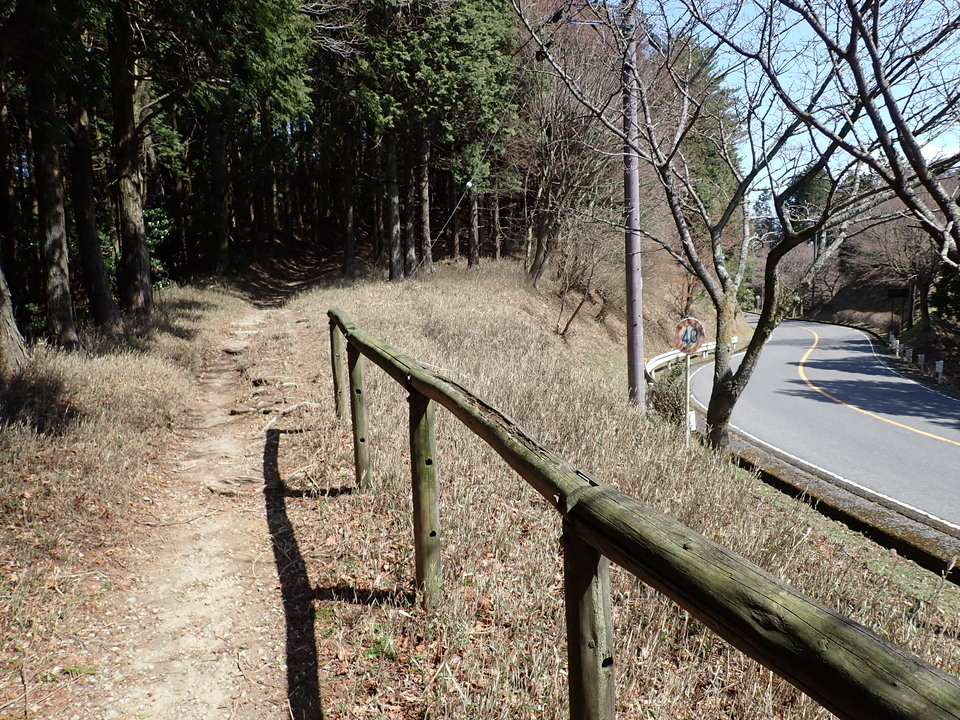 P4054341_mid.jpg