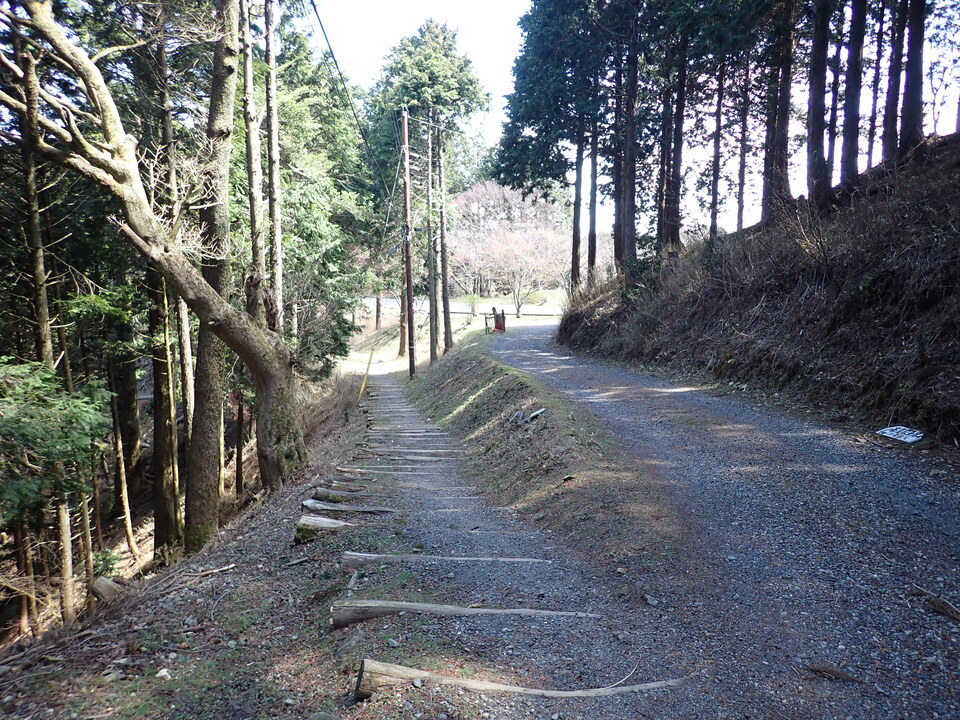 P4054347_mid.jpg