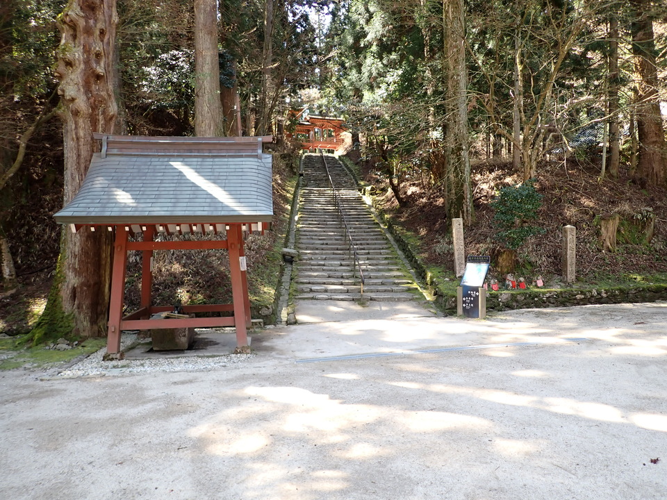 P4054368_mid.jpg