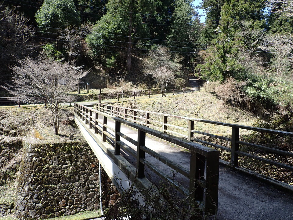 P4054383_mid.jpg