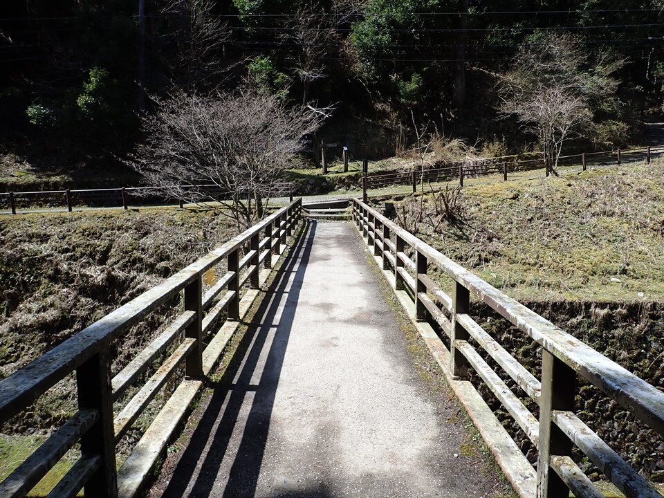 P4054385_mid.jpg