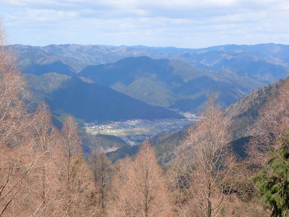 P4054403_mid.jpg
