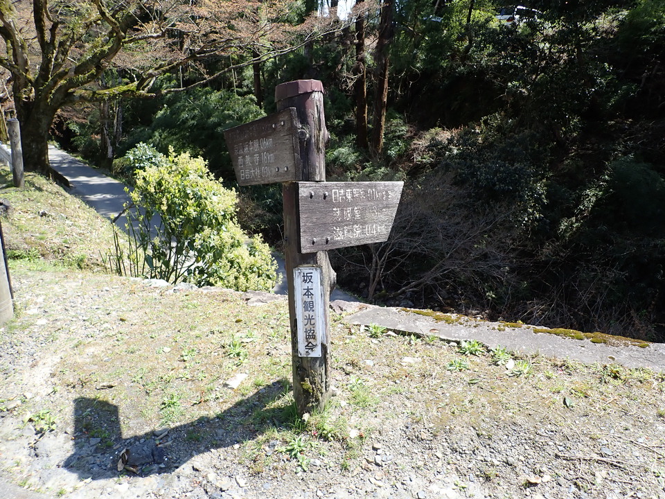 P4054508_mid.jpg