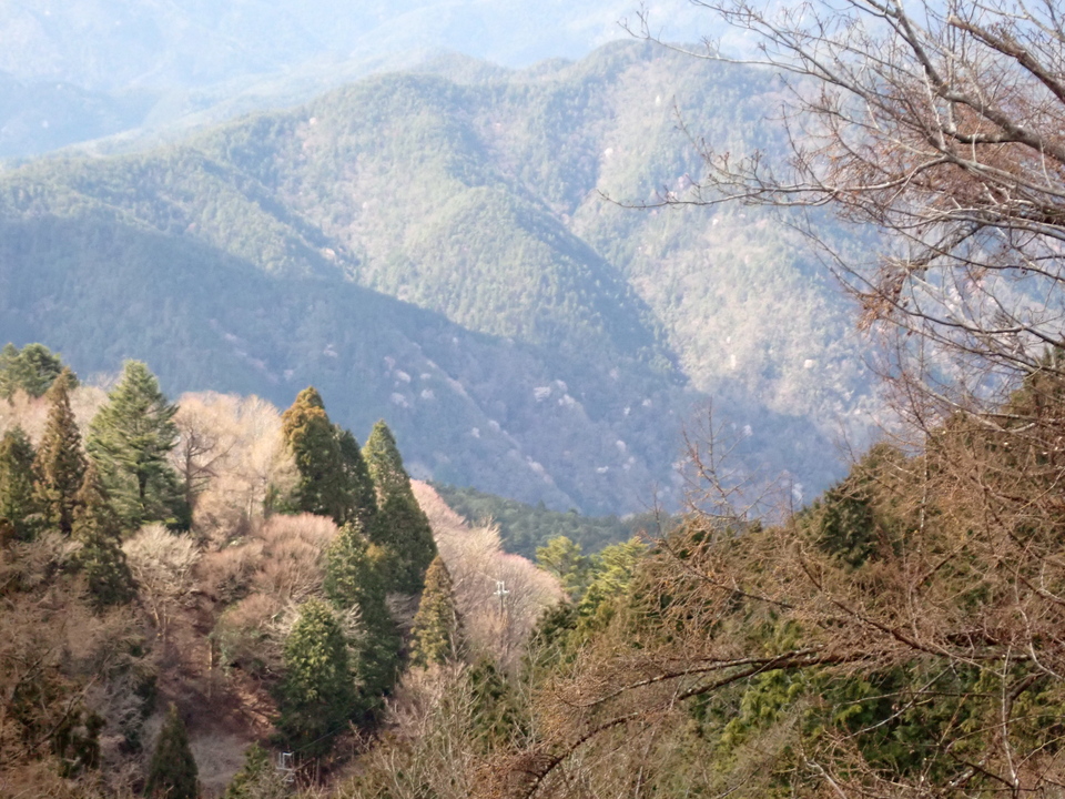 P4054595_mid.jpg
