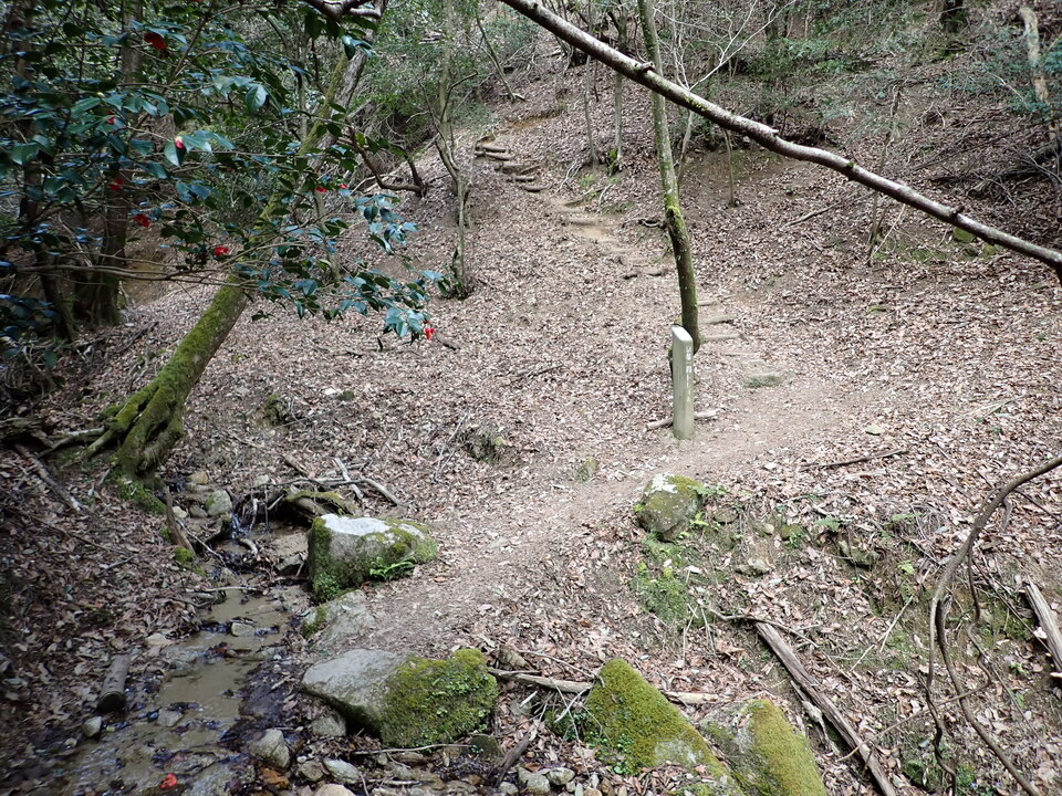 P4054647_mid.jpg
