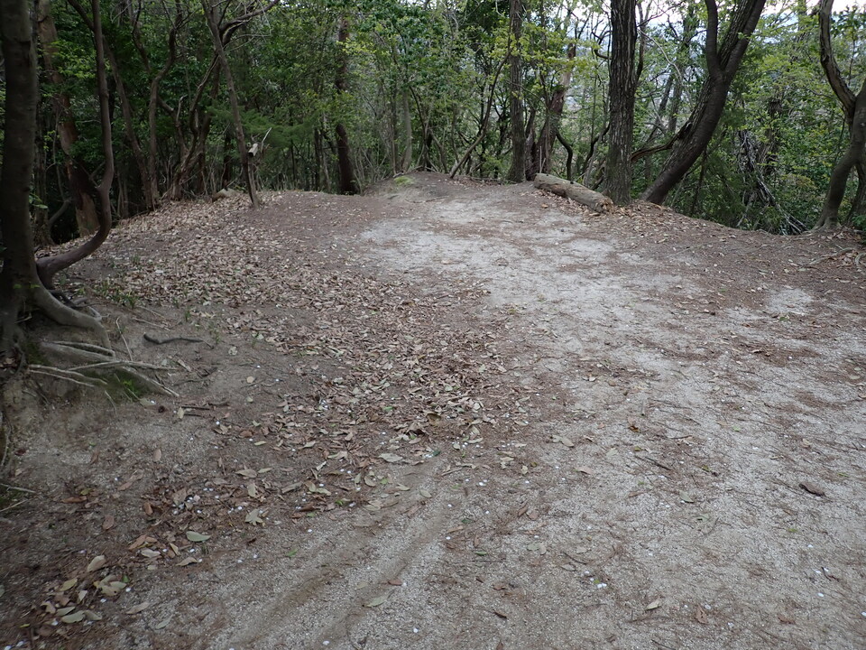 P4054718_mid.jpg