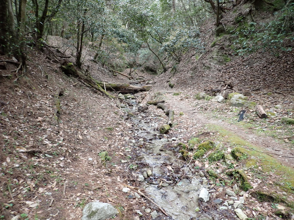 P4054724_mid.jpg