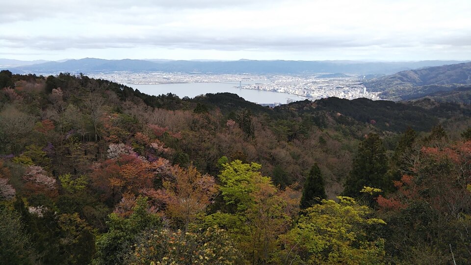 DSC_1459_mid.jpg