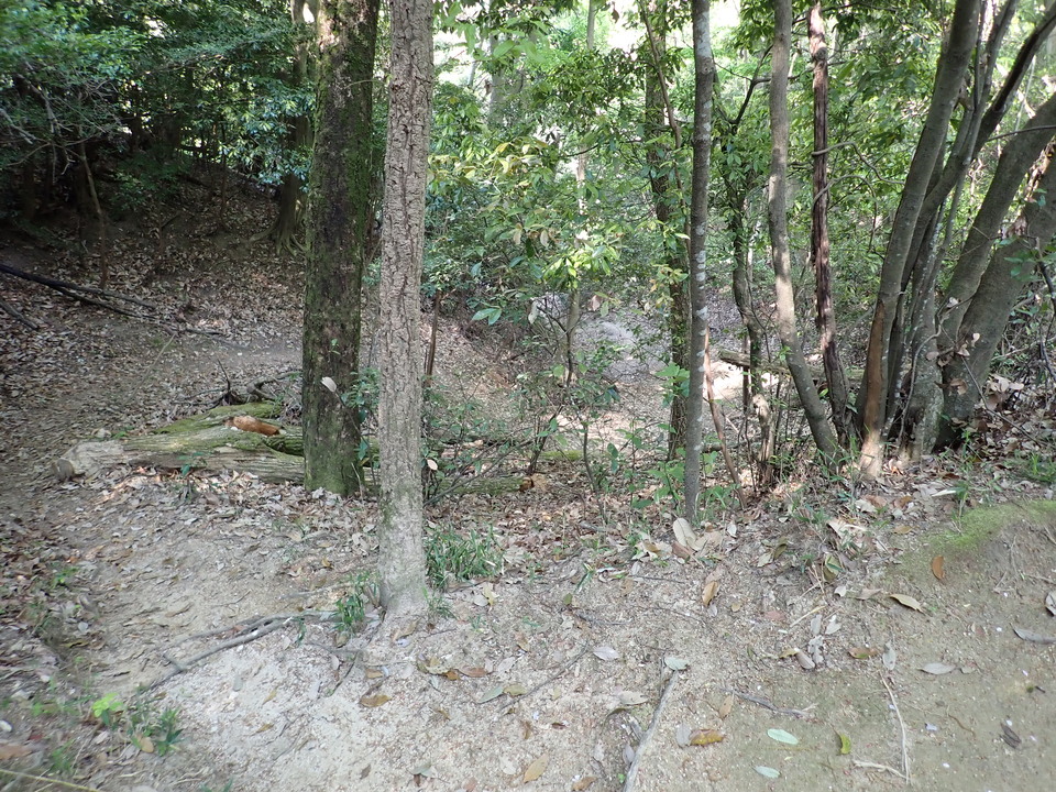 P5024812_mid.jpg