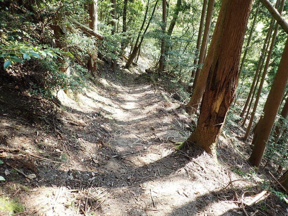 P5024827_mid.jpg