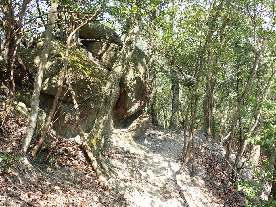 P5024882_mid.jpg
